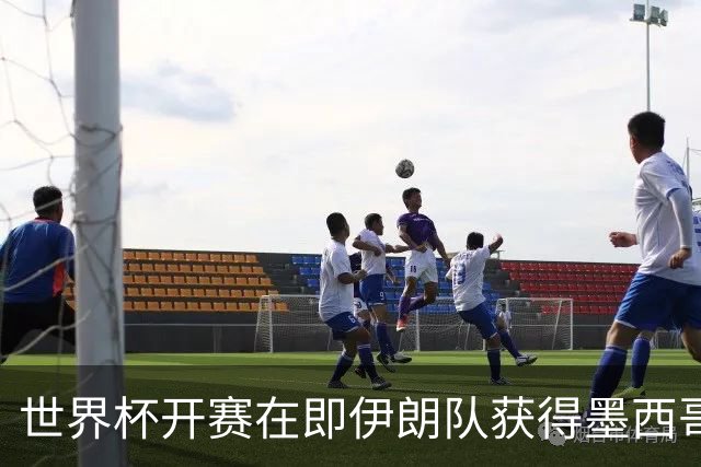 世界杯开赛在即伊朗队获得墨西哥签证 计划启程前往驻地
