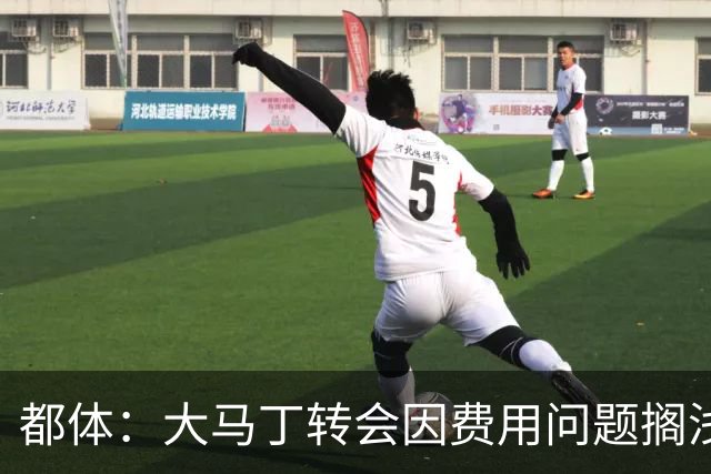 都体：大马丁转会因费用问题搁浅，尤文转而瞄准铃木彩艳维卡里奥