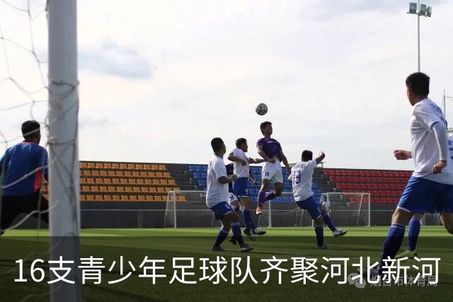 16支青少年足球队齐聚河北新河“新新杯”